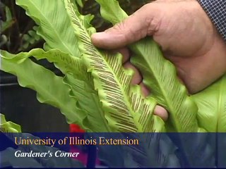 Understanding Pot Sizes