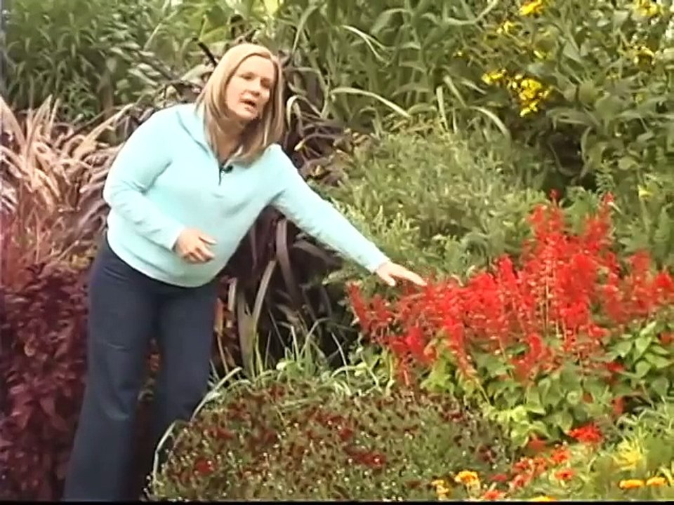 Using 'Hot' Colors in a Garden
