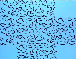 Mac the Movie (マック･ザ･ムービー ) - Taku Furukawa