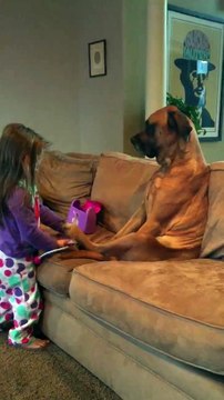 Une petite fille joue au docteur avec son chien