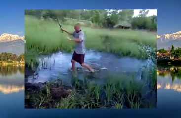 Игры после холодных закусок.