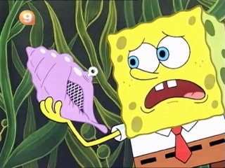 Μπομπ σφουγκαρακης, μαγικο κοχυλι