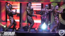 2016 ARNOLD CLASSIC - 212 FINALS - POSE DOWN