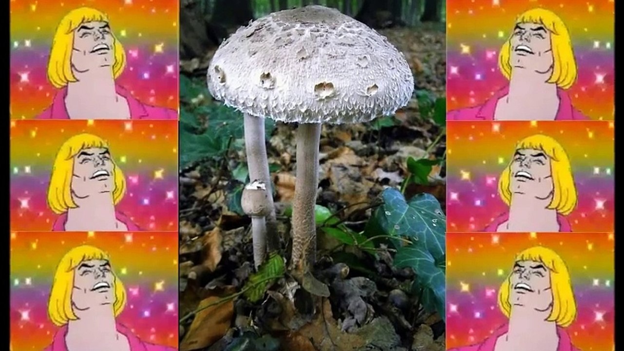 YouTube Poop (YTP) Air Wick Magic Mushroom Advert Featuring He Man What's Going On