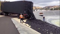 Los Angeles dumps 96 million plastic balls into a reservoir YouTube