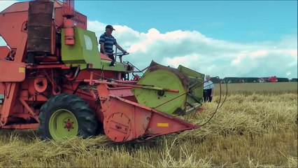 Vintage combine harvesters working