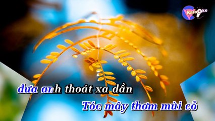 Bông cỏ may - Karaoke HD -- Beat Chuẩn