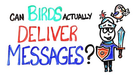 Can Birds Actually Deliver Messages