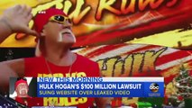 Hulk Hogan Sues Gawker For Sex Tape
