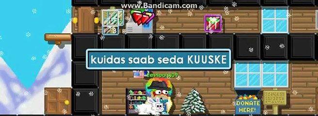 Kuidas saada joulukuuske