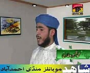 MADEENE WALA AAMNA DA LAAL