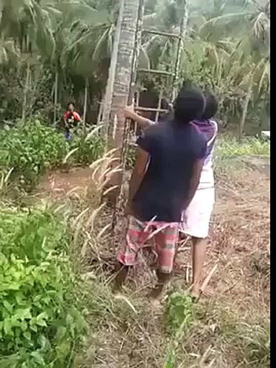 Best Funny Ladder Video