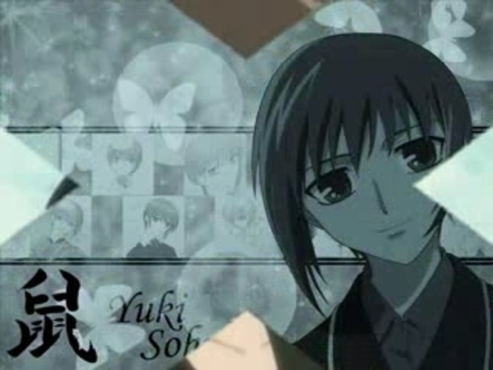 Montage Fruits basket
