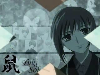 Montage Fruits basket