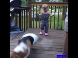 New ! Vine - Funny Dog -Cute Kids - Funny Kitty- Sensitive Dog - Vine Compilation