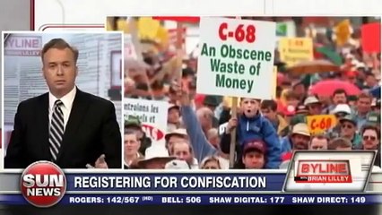 Warning To American Gun Owners From Canadian News Anchor (News World)