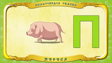 Мультіпедія тварин. Літера П Порося