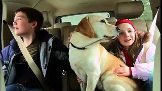 The Dog Who Saved Christmas Vacation (2010) - Official Trailer