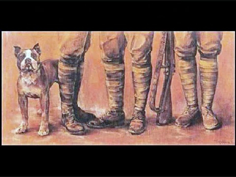 Sergeant Stubby ~ World War I Hero Dog.wmv