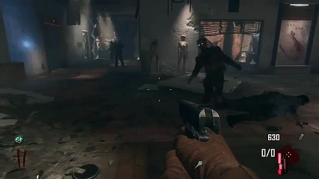 NEW Black Ops 2 Zombies Die Rise GLITCHES - ENSLAVE ZOMBIES GLITCH - Have A Pet Zombie