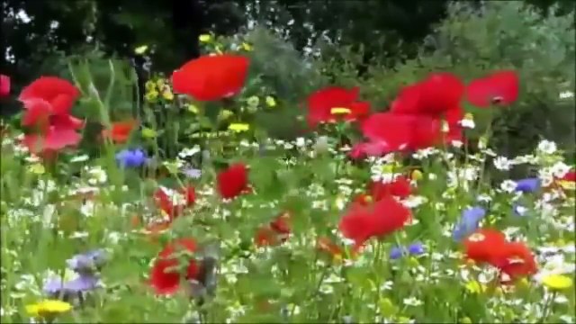 Xece Herdem En Yeni Kürtçe Şarkılar (Yeni 2016)