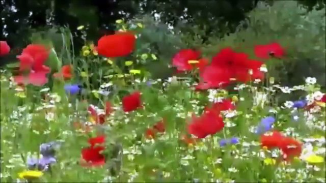 Xece Herdem En Yeni Kürtçe Şarkılar (Yeni 2016)