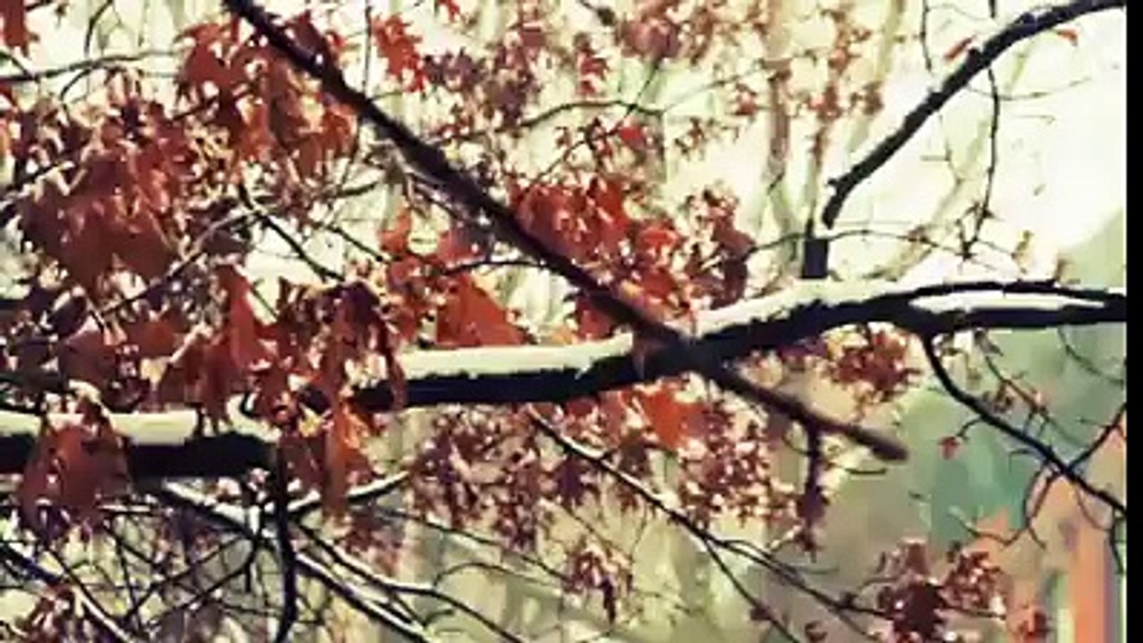 Maulana Tariq Jameel bayan Allah ka taaruf