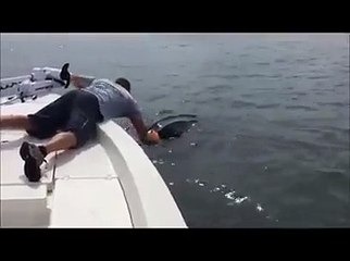 Cette pauvre bête est venue demander de l'aide à ces 2 hommes ... Regardez pourquoi