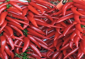 #안전사이트# 777포커 명량 쿨 "포커먹튀없는곳"안전코드구해요