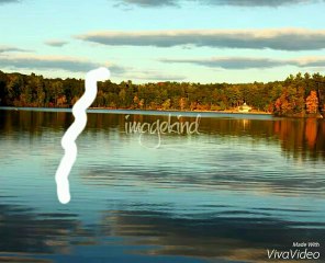 Walden Media Logo (2003)