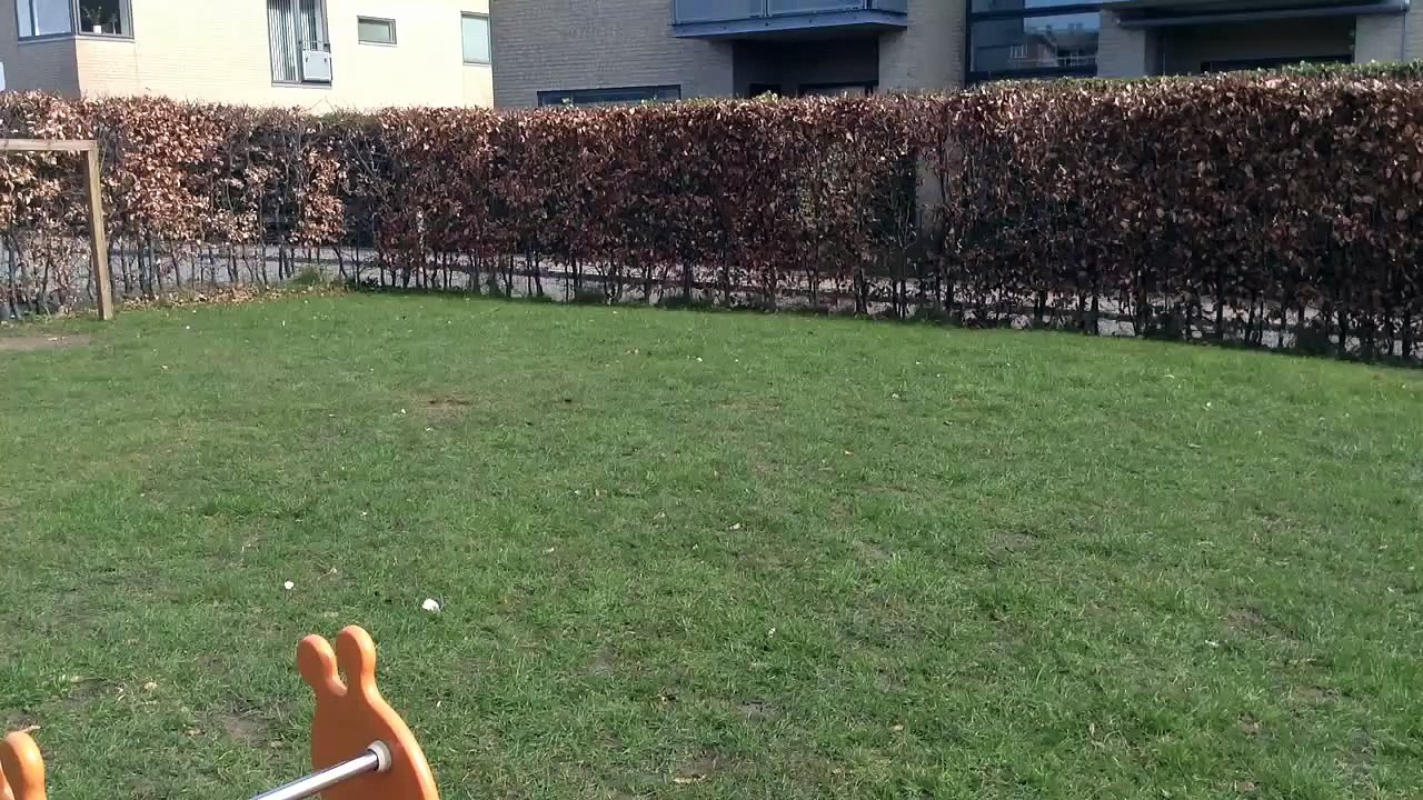 Jumping Around