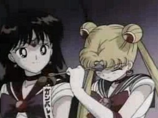 AMV - Sailor Moon - Sting - Desert Rose