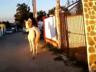 gisela aquella estrella de alla video exo por mi