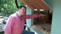 Designing a Backyard Chicken Coop