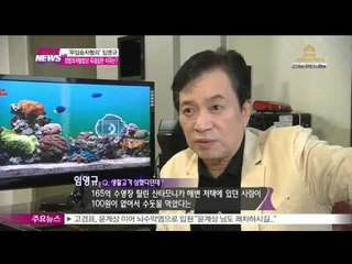 [Y-STAR] ] 'Free ride suspiction' Leem youngkyu. ('무임승차 혐의' 임영규, 택시비 내지 않아 즉결심판 넘겨진 이유는?)