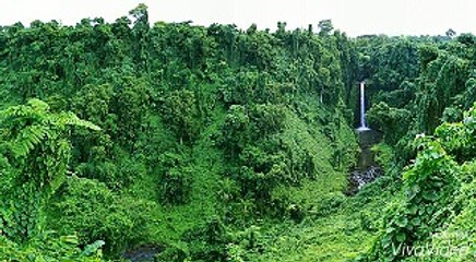 Racer Tech (2003) Teaser Trailer | Walden Media