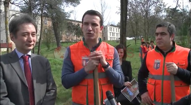 Mbillen 200 qershi japoneze tek Liqeni, Veliaj: Kjo është përgjigja për skeptikës e bashkisë
