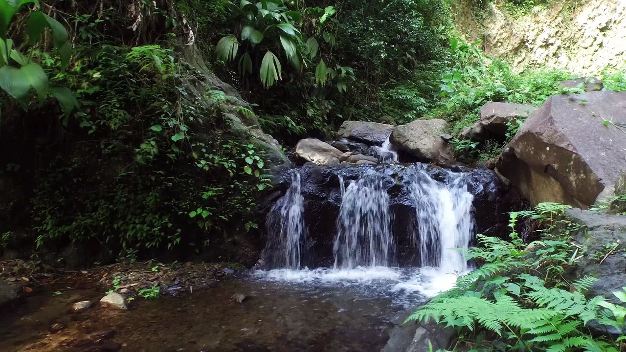 10 jours aux grenadines  (partie 2)
