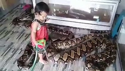 Awesome Clicks     MuSt WAtCH.....