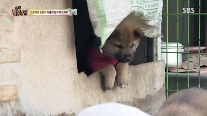 삼성동출장안마 ◤O1O↔29O8↔6555◢  대치동출장안마 청담동출장안마 하얀살결女