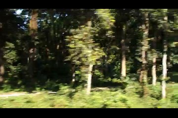 Beautiful scenary captured from the Running Train