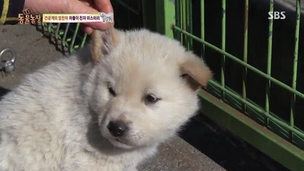 쌍문동출장안마 ◤O1O↔29O8↔6555◢  수유동출장안마 상계동출장안마 365일24시간 출장안마!