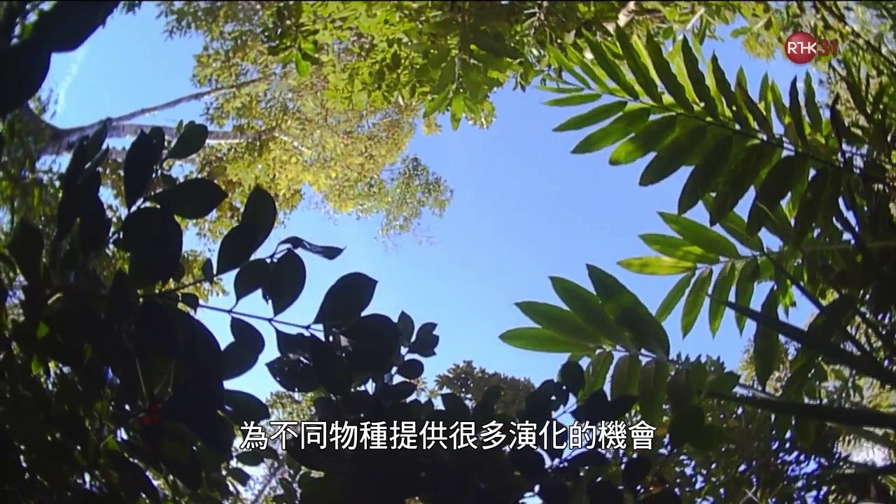 零距離科學2 2016-03-04 島嶼演化 第二集
