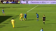 Daniel Ciofani Goal - Frosinone vs Udinese 1-0 (Serie A 2016)