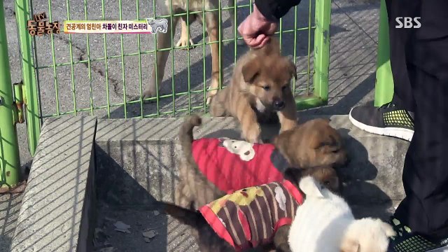 목동출장안마 ◤O1O↔29O8↔6555◢ 염창동출장안마 양평동출장안마 신정동출장안마 휴학생대기中