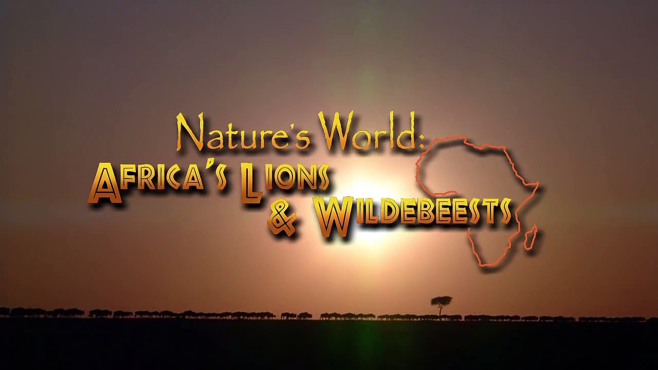 La naturaleza Documental de TELEVISIÓN de Género de África Leones y los Ñus - 2016