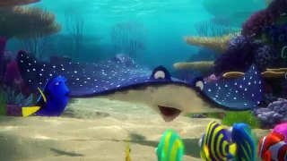 Exclusive! A Brand New ‘Finding Dory’ Trailer