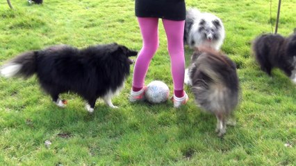 Moonlight Shadow Blue du Domaine de Cora de Ramatuelle