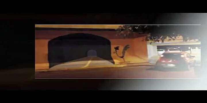 Road Runner Faux Tunnel Painted On Wall Causes Car Crash -- Gets 3 Million Views In 9 Hours