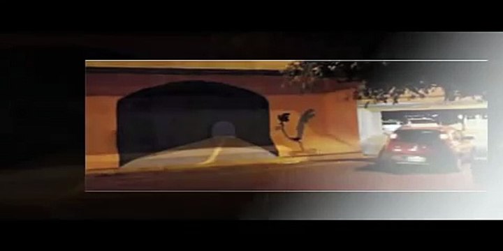 Road Runner Faux Tunnel Painted On Wall Causes Car Crash Gets 3 Million Views In 9 Hours